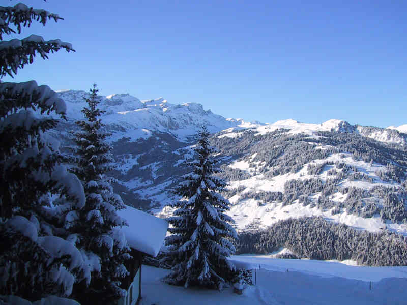 Vew from the Chalet